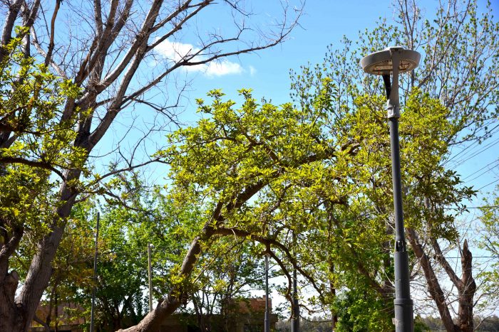 Plaza Crucero General Belgrano (5)