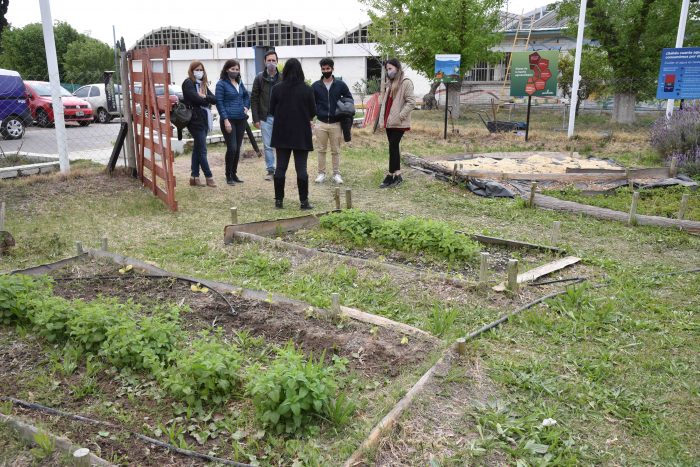 Capacitación huerta agroecológica (10)