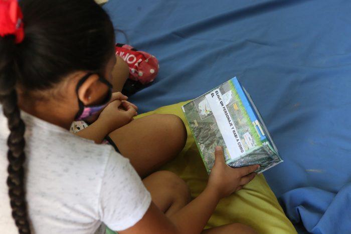 Literatura infantil en la biblioteca- Graciela Carbajosa (6)