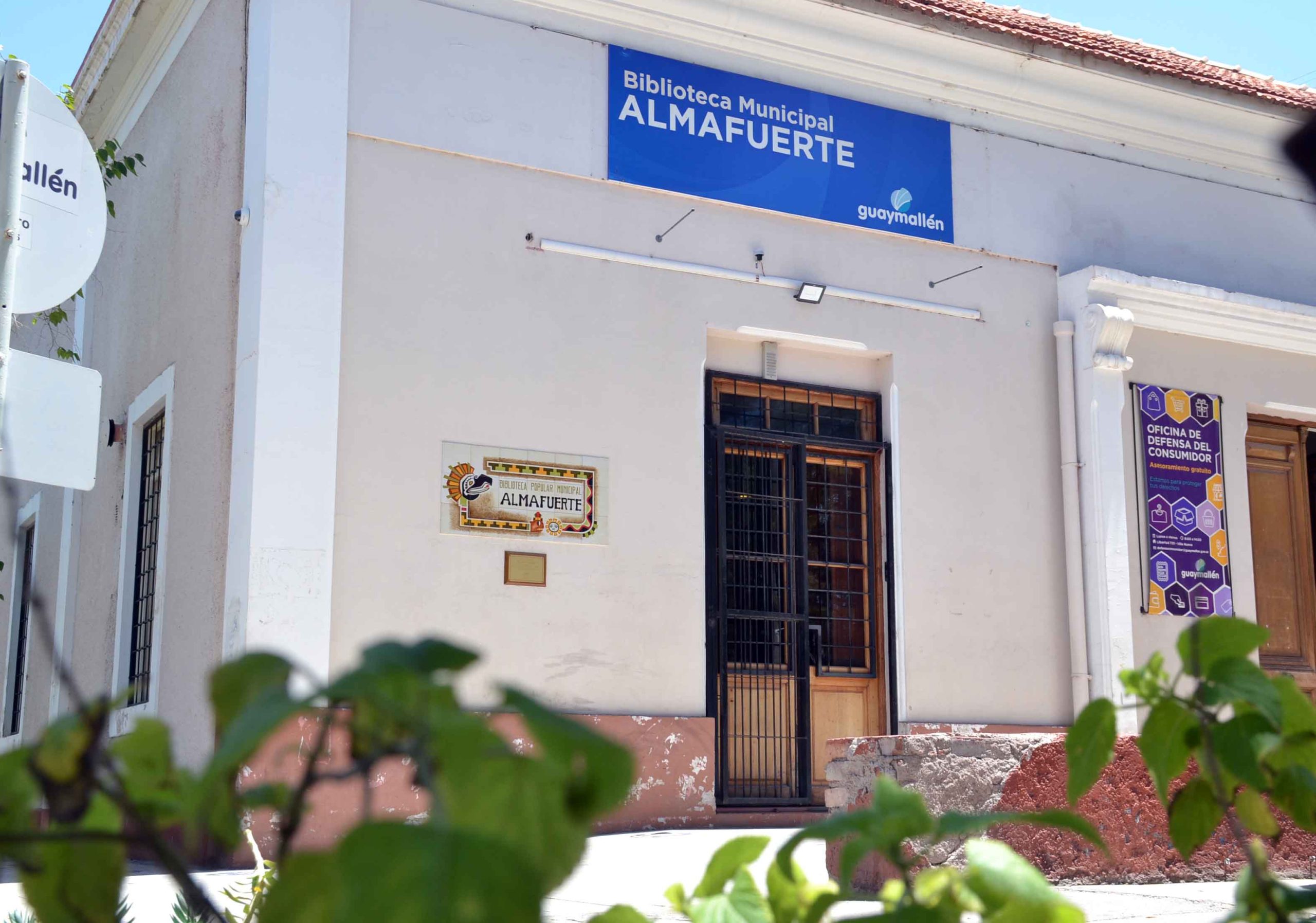 Biblioteca Almafuerte (1)