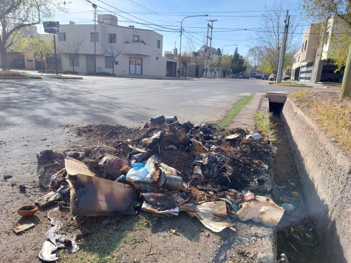 Contenedores vandalizados (11)