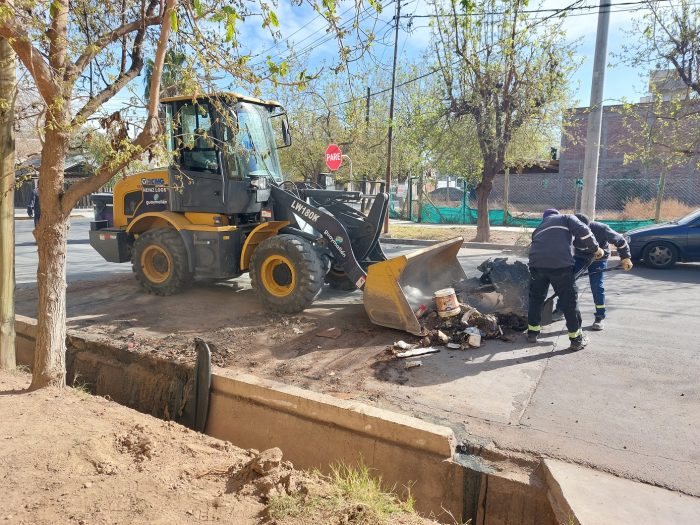 Contenedores vandalizados (6)