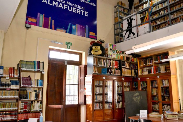 Biblioteca Pública Municipal Almafuerte (3)