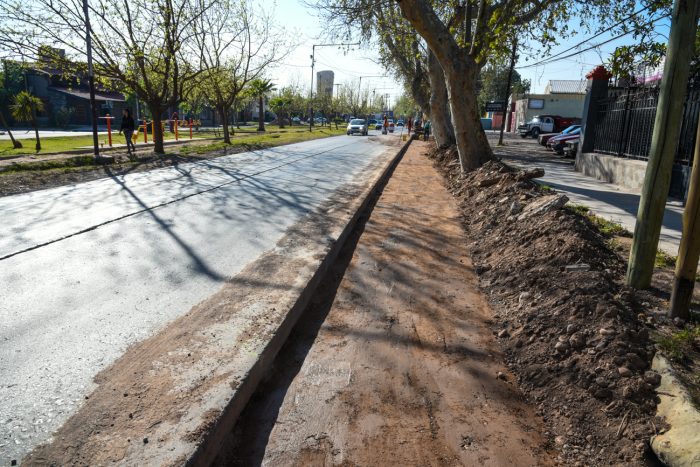 Calle Bandera de Los Andes (2)