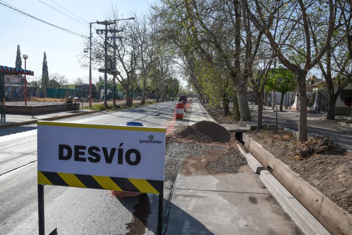 Calle Bandera de Los Andes (5)