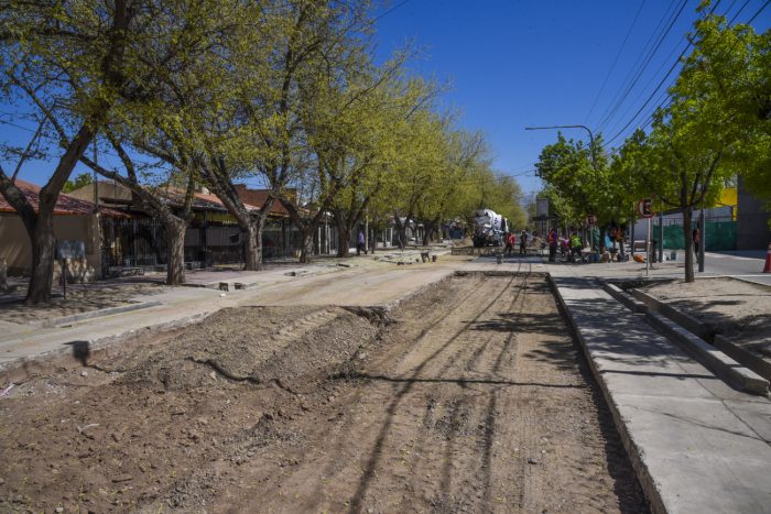 Calle Gomensoro (4)