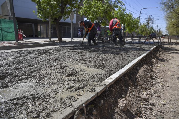 Calle Gomensoro (5)