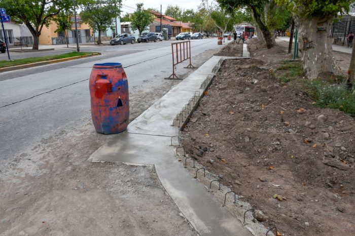 Calle Bandera de Los Andes (2)