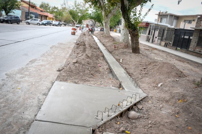 Calle Bandera de Los Andes (4)