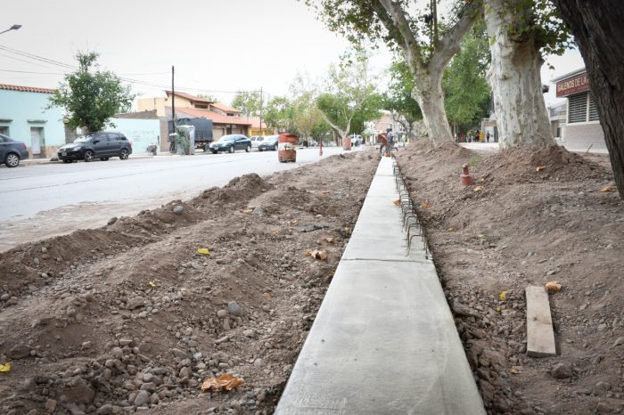 Calle Bandera de Los Andes (5)