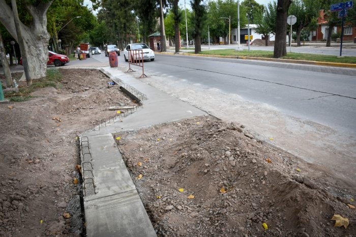 Calle Bandera de Los Andes (6)