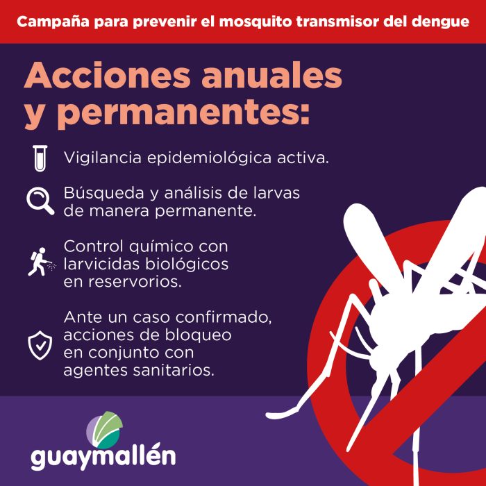 Acciones anuales y preventivas