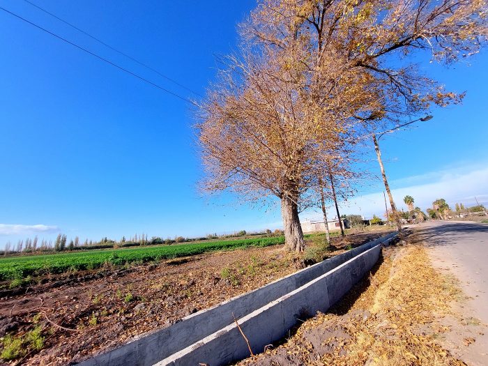 Recorrido junto a Irrigación (1)