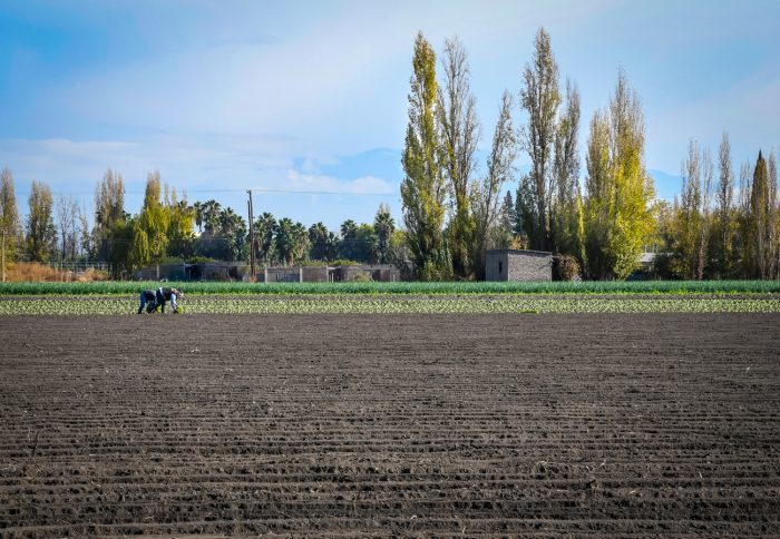 Recorrido junto a Irrigación (8)