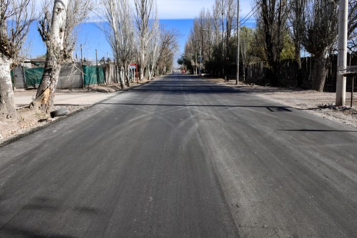 Calle Elpidio González (6)