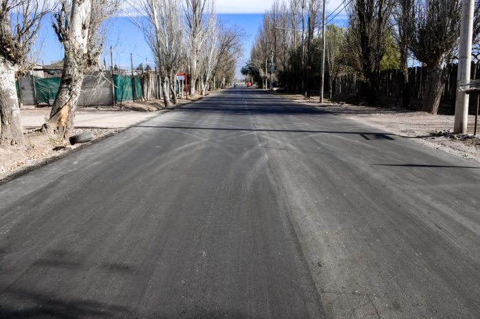 Calle Elpidio González (7)