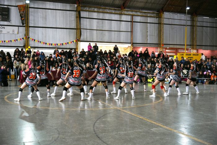 Torneo Provincial de Danza y Aeróbica (1)