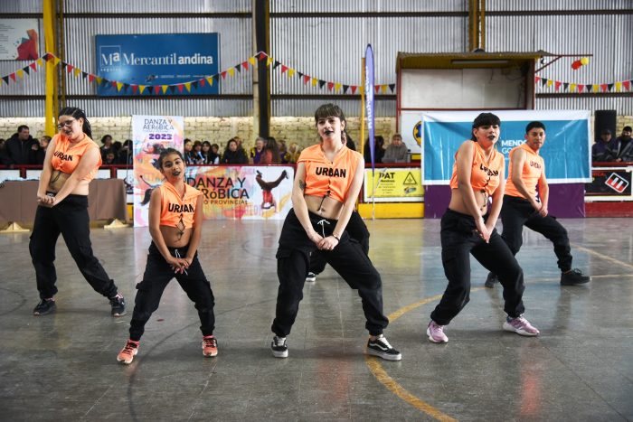 Torneo Provincial de Danza y Aeróbica (13)