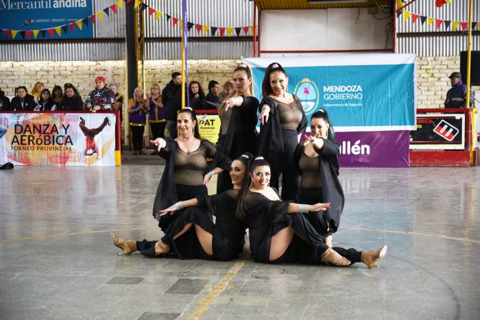 Torneo Provincial de Danza y Aeróbica (14)
