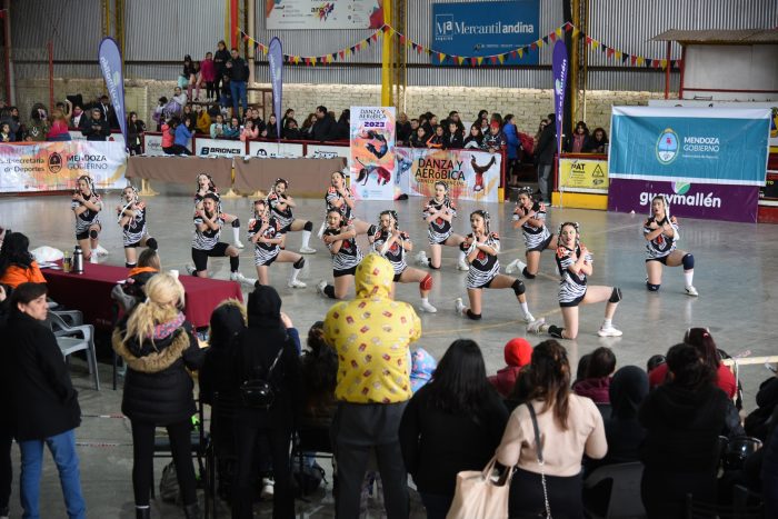 Torneo Provincial de Danza y Aeróbica (3)