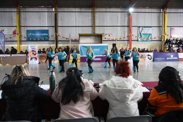 Torneo Provincial de Danza y Aeróbica (5)