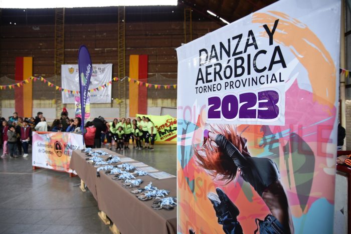 Torneo Provincial de Danza y Aeróbica (6)