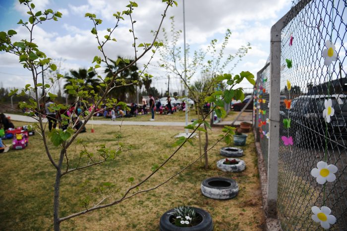 Jardín Solcitos de La Primavera (21)