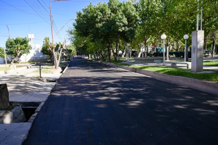 Bandera de Los Andes Lateral Sur (3)