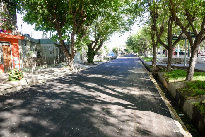 Bandera de Los Andes Lateral Sur (6)