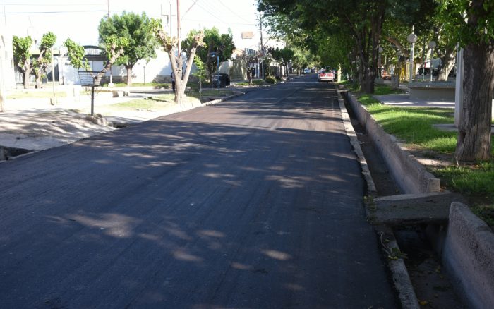 Bandera de Los Andes Lateral Sur (9)