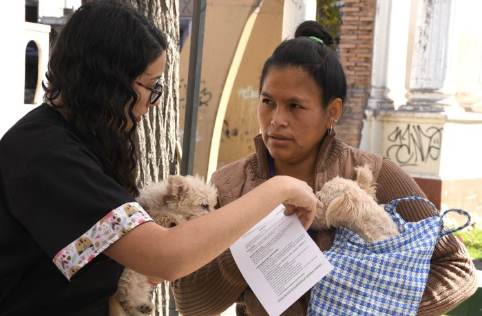 Día Mundial contra la Rabia (24)