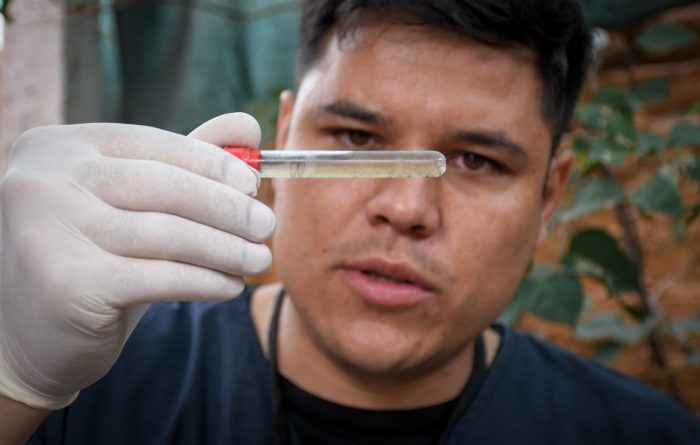 Durante todo el año, Saneamiento Ambiental busca larvas, y coloca trampas (frascos de plástico con filtros, que funcionan como colectores de larvas y huevos para su posterior estudio).