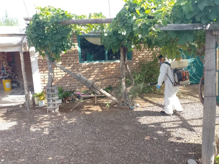 Enfermedades transmitidas por mosquitos: La única manera de evitarlas es prevenir y para ello es necesario tomar conciencia.