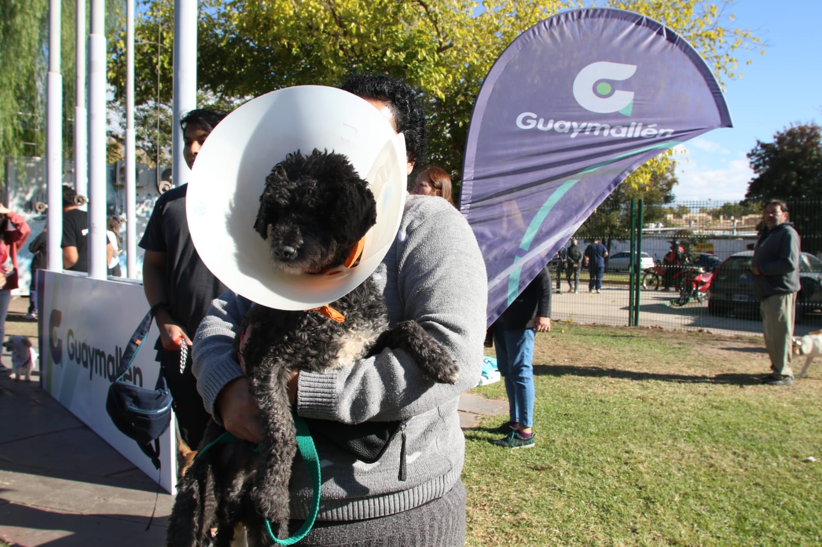 DÍA DEL ANIMAL EN GUAYMALLÉN (2035)