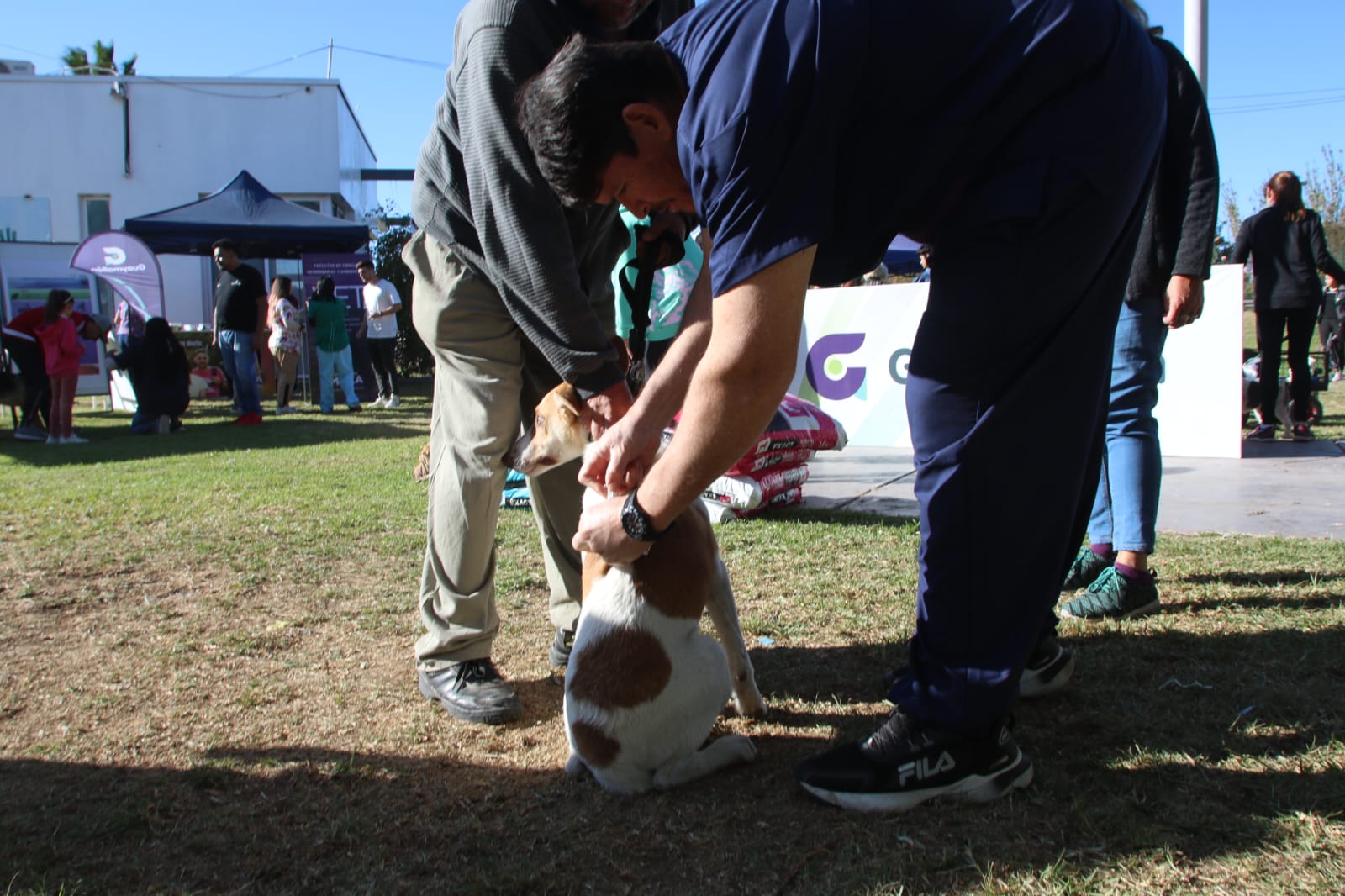 DÍA DEL ANIMAL EN GUAYMALLÉN (2037)