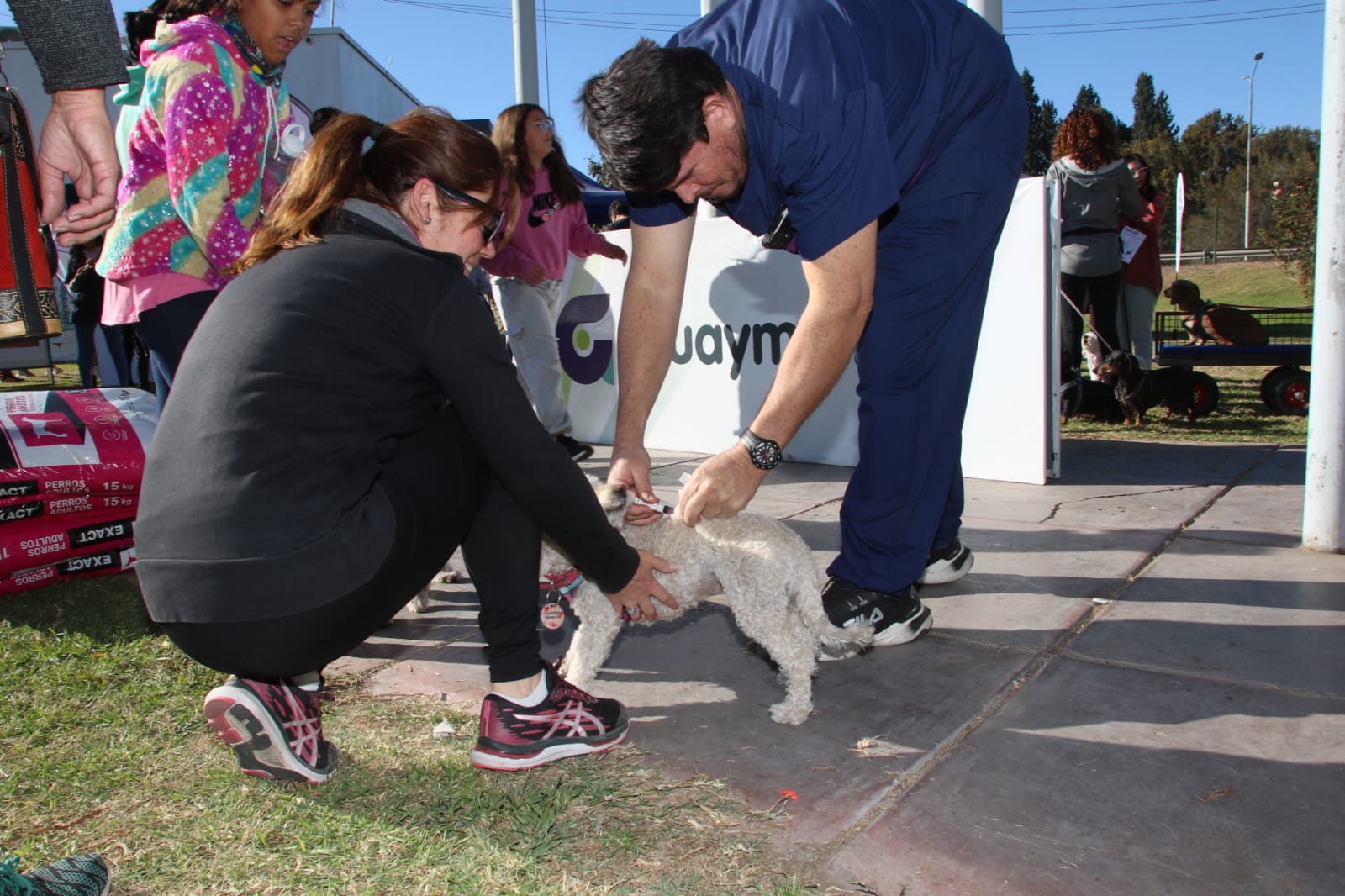 DÍA DEL ANIMAL EN GUAYMALLÉN (2038)