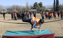 Olimpiadas (5)