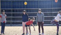 Olimpiadas (7)