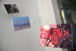 muestra Mónica González- Blas Shopping (15)