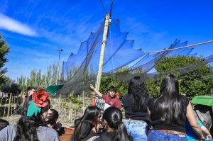 Expo corralitos (2)