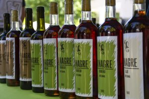 Expo corralitos (8)