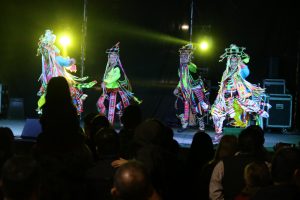 Fiesta de Colectividades 2024 (36)