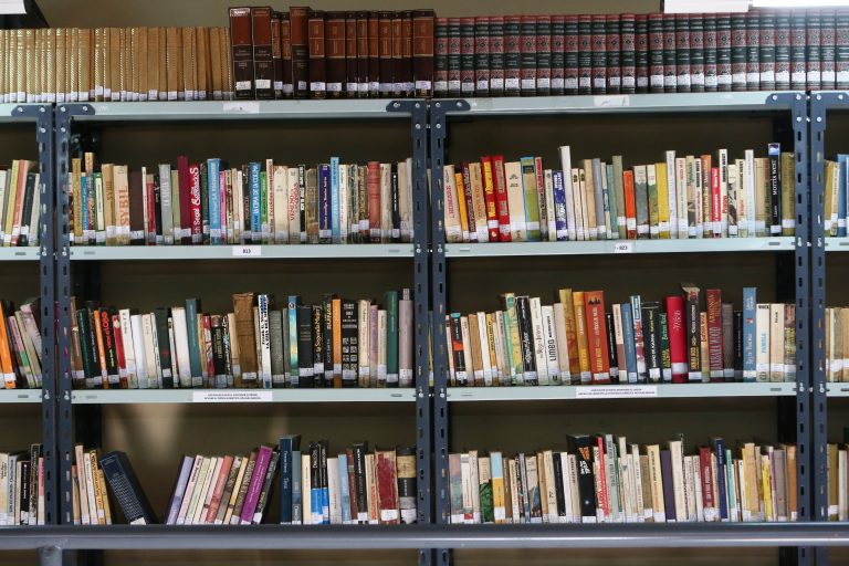 Literatura infantil en la Biblioteca Almafuerte (13)