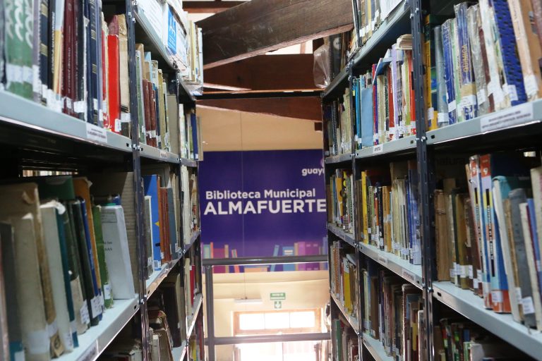Literatura infantil en la Biblioteca Almafuerte (17)