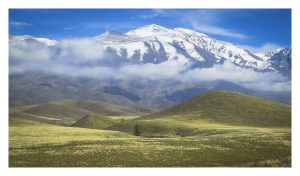 IMG_3857-2 cm