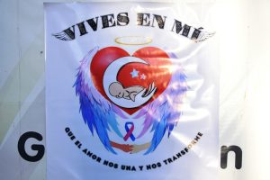 ONG Vives en Mí (21)