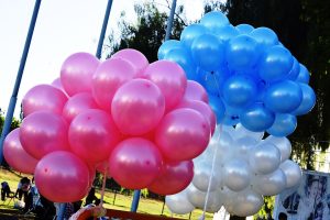 ONG Vives en Mí (3)