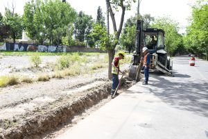 lateral norte de Acceso este entre La purísima y Ascasubi. Intervenciones urbanas XXXVIII (3)