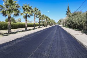 Carril a Lavalle (2)