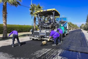 Carril a Lavalle (5)